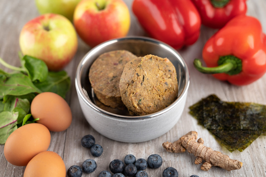 A top-down view of a stainless steel dog bowl filled with Artisan Raw freeze-dried food. Fresh, whole ingredients like raw eggs and vibrant vegetables are scattered around the dish to showcase the natural color and freshness of the recipe.