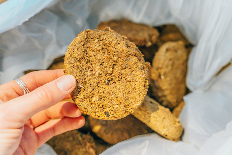Close-up of a hand holding a single Hypoallergenic freeze-dried dog food puck, with more pucks visible in the bag below.