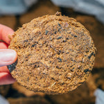 Close-up of a human hand gently holding a single, clean Artisan Raw Signature complete freeze-dried dog food puck, showcasing its rich texture and visible, high-quality, whole ingredients.
