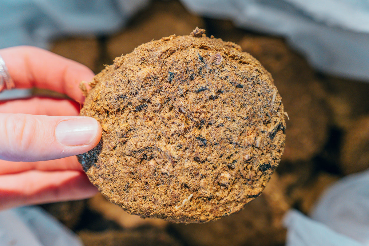 Close-up of a human hand gently holding a single, clean Artisan Raw Signature complete freeze-dried dog food puck, showcasing its rich texture and visible, high-quality, whole ingredients.