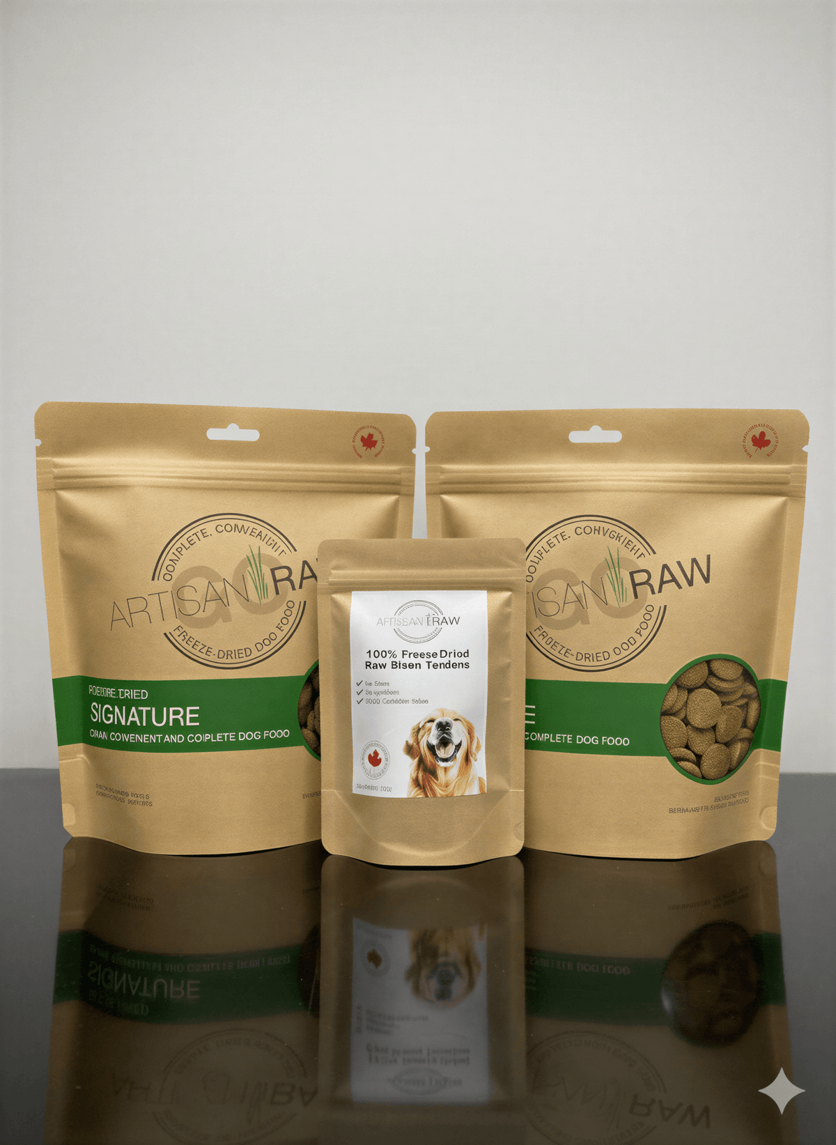 Artisan Raw GO! sampler box featuring freeze-dried dog food in three brown pouches with labels and a white bag.