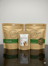 Artisan Raw GO! sampler box featuring freeze-dried dog food in three brown pouches with labels and a white bag.