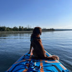 medium dog sitting on a blue paddleboard, facing calm water under a clear blue sky.