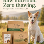 Three Artisan Raw freeze-dried dog food bags (Signature, Hypoallergenic, and Bison Tendons) arranged in a grassy field next to a white and tan dog, with text reading 'Raw nutrition. Zero thawing. Proudly Canadian made in Kelowna, B.C.'