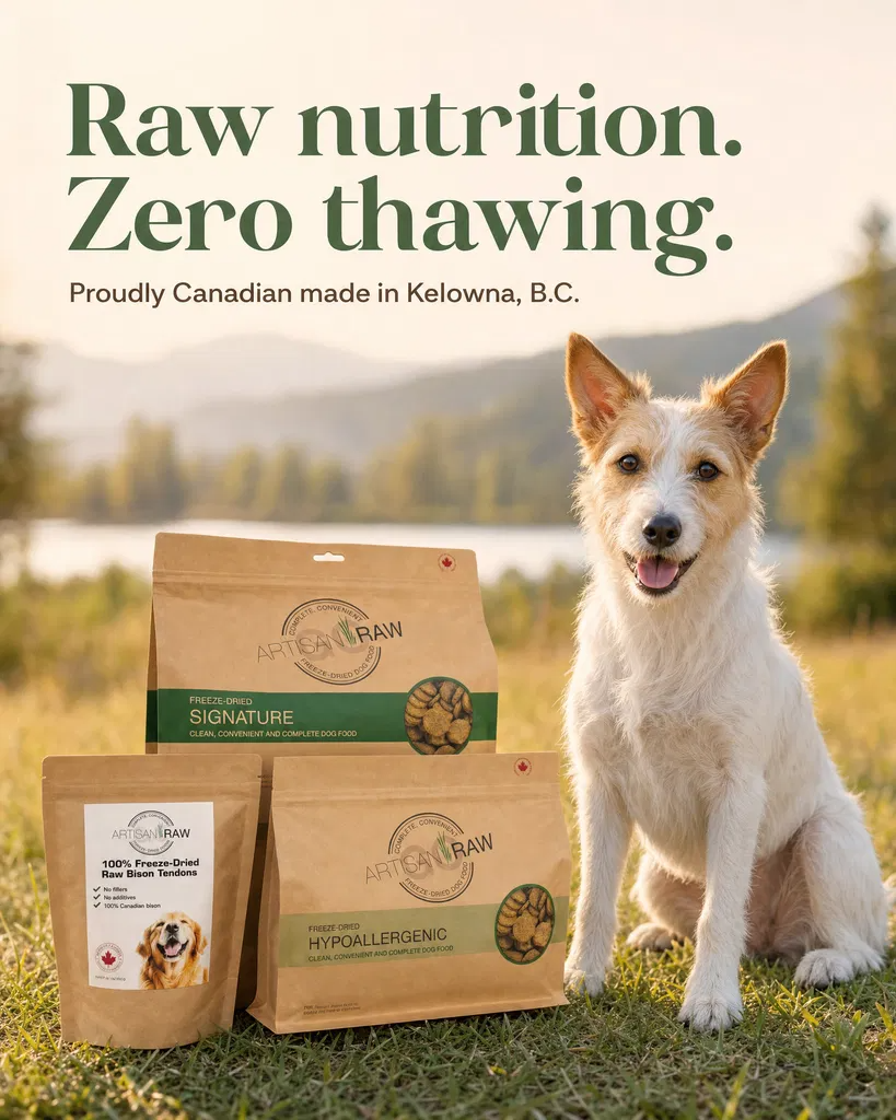Three Artisan Raw freeze-dried dog food bags (Signature, Hypoallergenic, and Bison Tendons) arranged in a grassy field next to a white and tan dog, with text reading 'Raw nutrition. Zero thawing. Proudly Canadian made in Kelowna, B.C.'