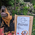 Artisan Raw GO! freeze dried bison tendons packaging with a dog in the background.