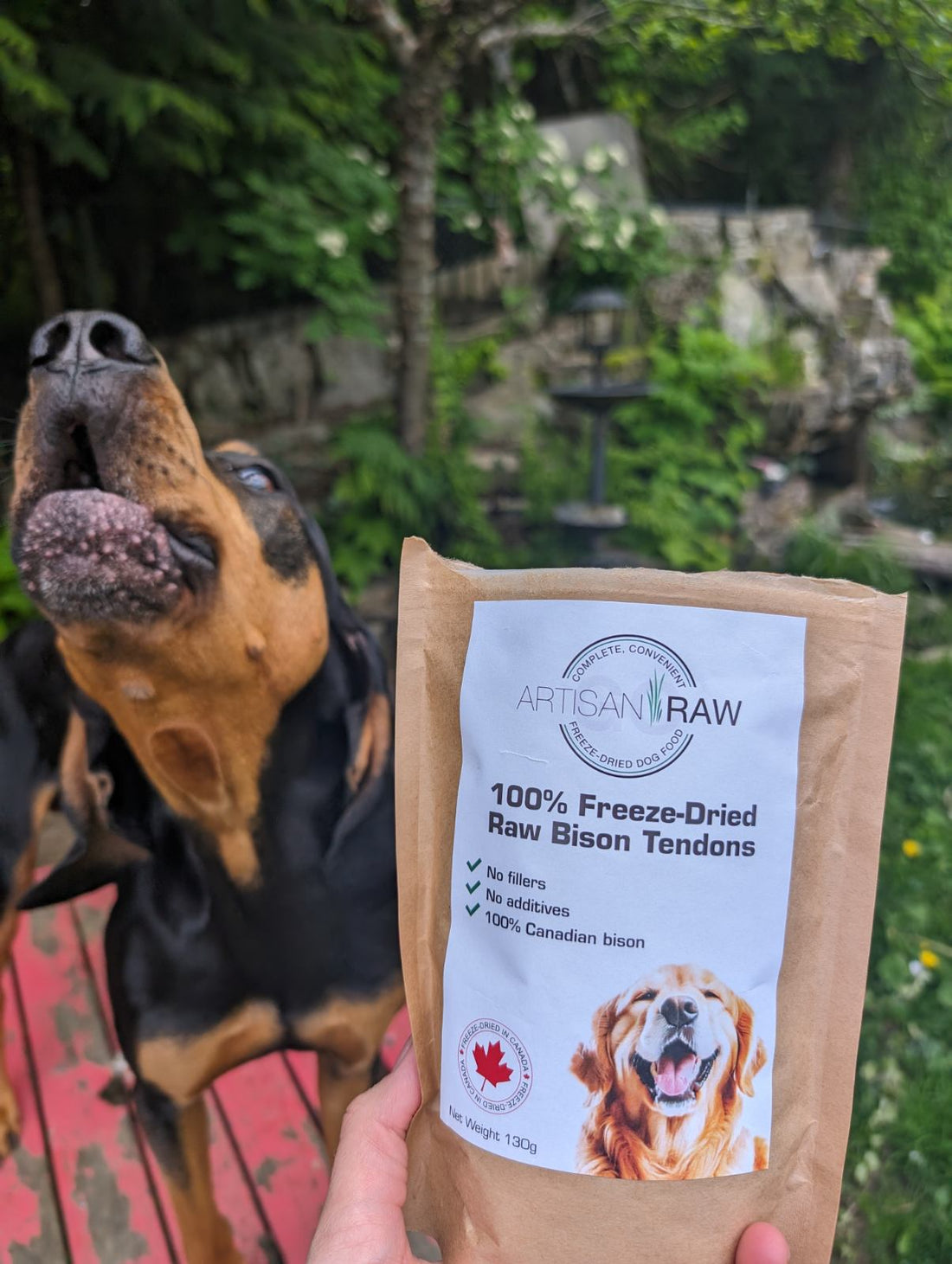Artisan Raw GO! freeze dried bison tendons packaging with a dog in the background.