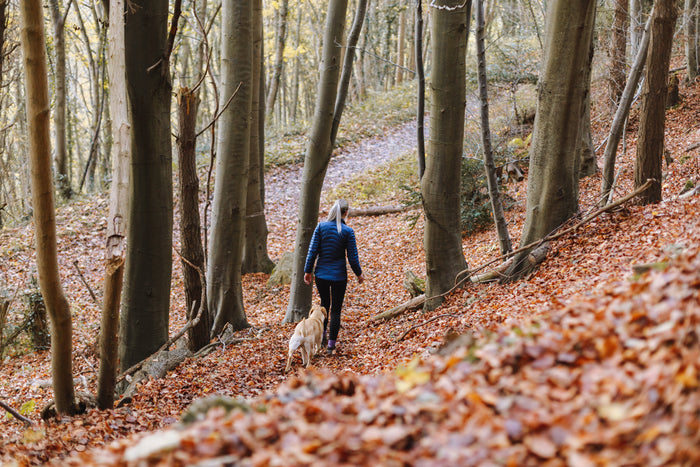 A woman walking her dog through a forest trail covered in fall leaves.